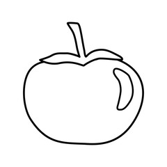 Whole tomato with leaves, doodle style flat vector outline for coloring book