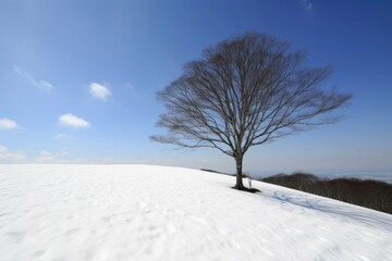 tranquil sight in winter. Generative AI