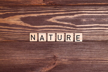 Word nature, lettering top view, wooden background