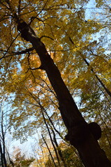 Sentier de la Presqu'ile, Montreal