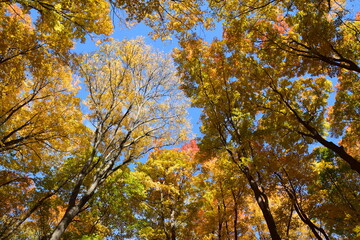 Sentier de la Presqu'ile, Montreal