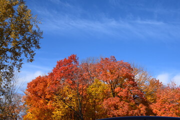 Fototapeta premium Sentier de la Presqu'ile, Montreal