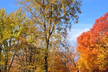 Sentier de la Presqu'ile, Montreal