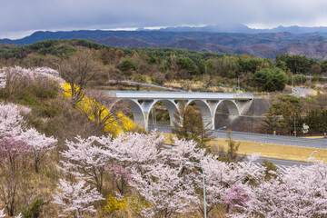 (長野県ｰ風景)平尾山から望む春の風景４