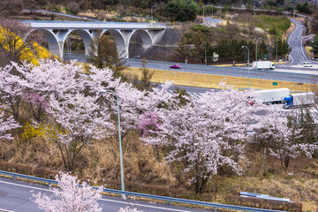 (長野県ｰ風景)平尾山から望む春の風景２