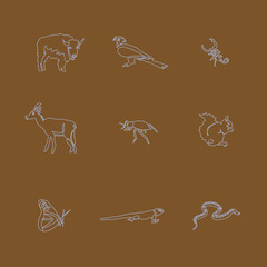 Desert Animal Simple Line Drawing Icons
