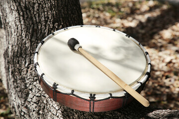 Fototapeta na wymiar Drum with mallet on tree bark outdoors. Percussion musical instrument