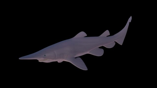 Goblin Shark Swimming 3D Rendered