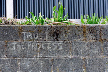 An image of the words 