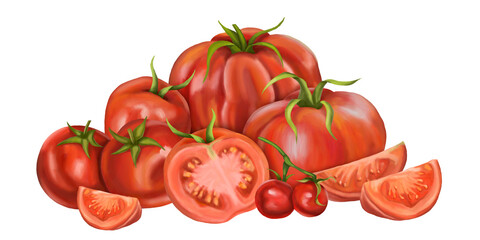 A large composition of red ripe tomatoes of different varieties. Slices, halves, cherry tomatoes. Digital illustration on a white background. For packaging design, postcards, prints, textiles