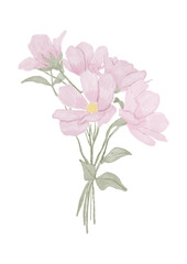 Bouquet of pink flowers. Illustration of bouquet of flowers without background