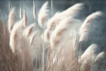 soft vegetation on an abstracted natural background Selloan cortaderia Pampas grass with a boho style background of dry reeds. wintertime fluffy long grass stems. Generative AI