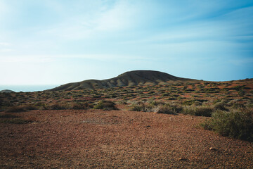 The Art of Nature: A Photograph of La Guajira Desert's Beautiful and Unique Features
