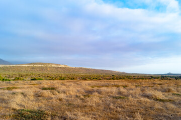Fototapeta premium landscape with sky