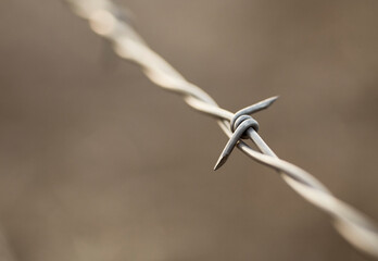 Close up of a Barb on a Barbed Wire Fence
