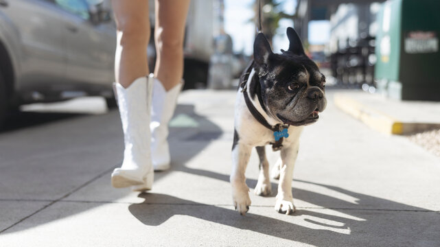 A woman with a French bulldog is walking her dog in an urban area. - Powered by Adobe
