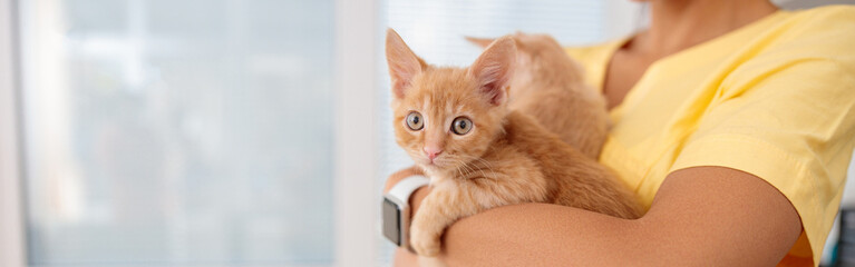Woman vet cares of lovely kittens in doctor office