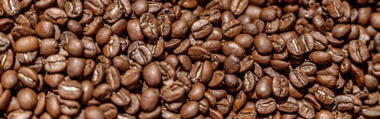 High quality freshly roasted arabica coffee beans