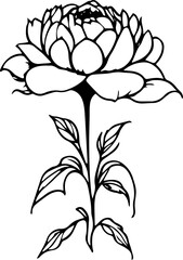 nature line art drawing flower doodle