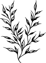 nature line art drawing leaves doodle