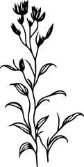 nature line art drawing flower doodle