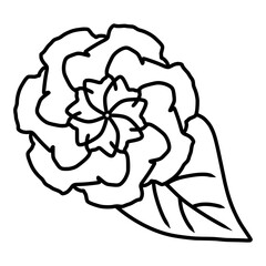 Flower Sketch