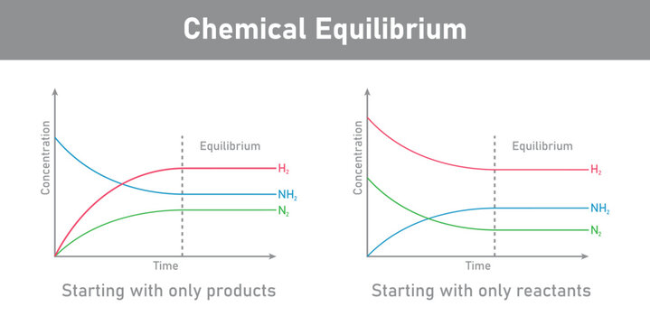 State of chemical equilibrium in reaction. Time concentration graph. Vector illustration isolated on white background.