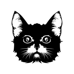 Black and white portrait of a straight-faced cat, closeup, isolated, on a white background