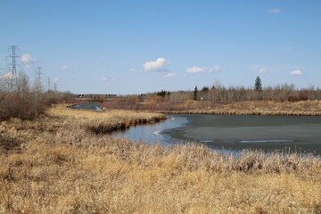 Spring On The Lake