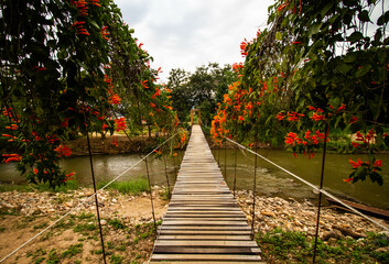 Wooden bridge