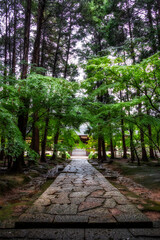 新緑の季節｜曹源寺（縦位置）