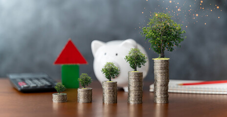 Money saving, first time asset, property buyer concept. Home model, piggy bank, dollar bags, young...