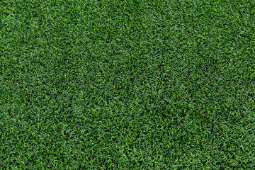 Obraz premium Green grass of soccer field pattern and texture for background.