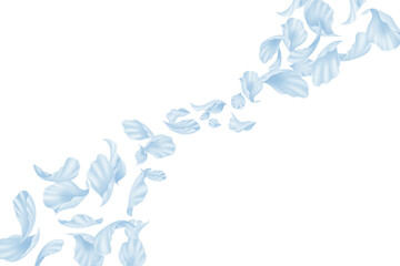 青 花びら 花吹雪