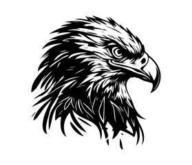  Eagle Face, Silhouettes Eagle Face SVG, black and white Eagle vector
