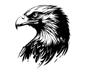  Eagle Face, Silhouettes Eagle Face SVG, black and white Eagle vector