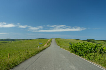 Fototapeta na wymiar 北海道の草原地帯を走る直線道路