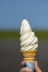 ミルクたっぷりの美味しいソフトクリーム