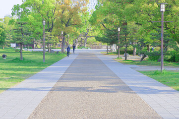 公園の爽やかな遊歩道