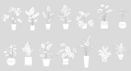 Flat vector Illustration of a foliage plant