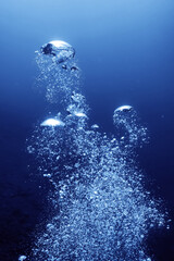 air bubbles underwater background diving in the sea