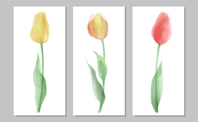 Vector watercolor triptych with colourful tulips - 593154852