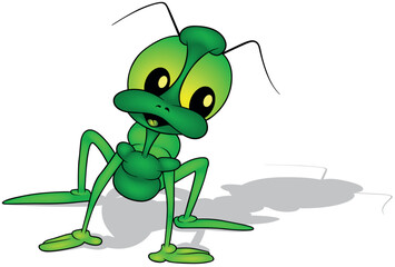 Dark Green Beetle with Big Eyes and Long Legs