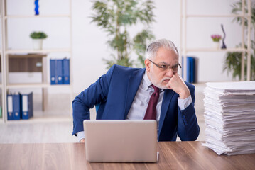 Old male employee working in the office
