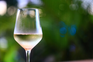 white wine tasting, chilled ice wine in a cold glass in summer - obrazy, fototapety, plakaty