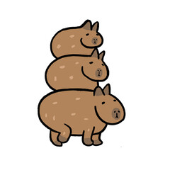 Fototapeta premium Capybara