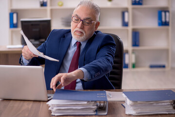 Old male employee working in the office