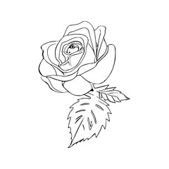 Beautiful Roses Coloring Book line art vector.