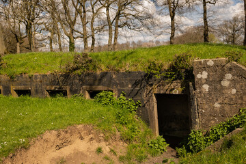 Fototapeta na wymiar overgrown decaying remains of Fort Bij Rijnauwen near Utrecht in netherlands countryside. bombproof barracks military instillation on new Dutch Waterline housed troops for defence 