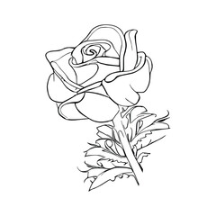 Beautiful Roses Coloring Book line art vector.